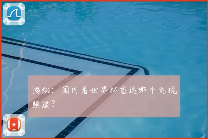 揭秘：国内看世界杯首选哪个电视频道？