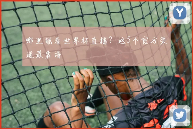哪里能看世界杯直播？这5个官方渠道最靠谱