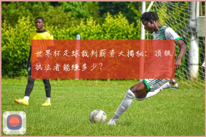 世界杯足球裁判薪资大揭秘：顶级执法者能赚多少？