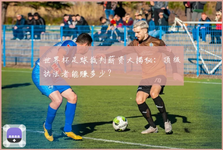 世界杯足球裁判薪资大揭秘：顶级执法者能赚多少？